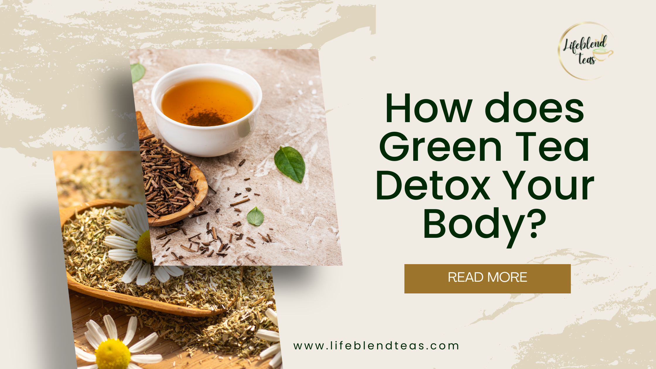 How does Green Tea Detox Your Body