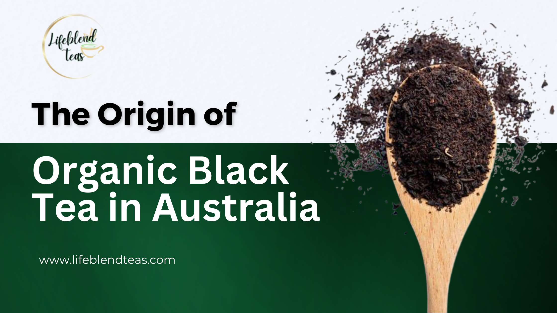 The Origin of Organic Black Tea in Australia